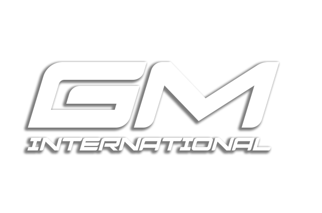 GMinternational.ge